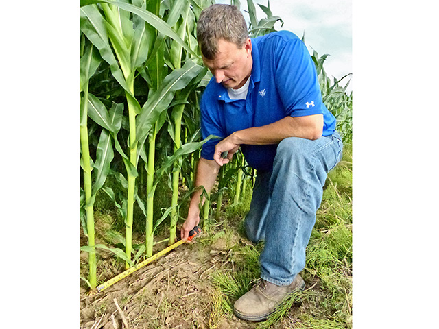 EVERY INCH COUNTS: David Castleberg of Chatfield, Minnesota, checks corn spacing and planter performance. (Progressive Farmer image by Jim Ruen)